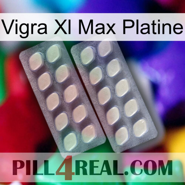 Vigra Xl Max Platinum 07